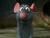 Aguss's Avatar